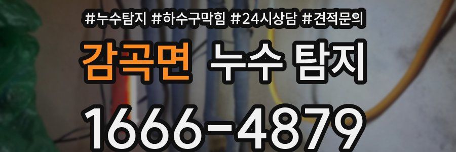 감곡면 누수 탐지