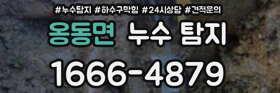 옹동면 누수 탐지