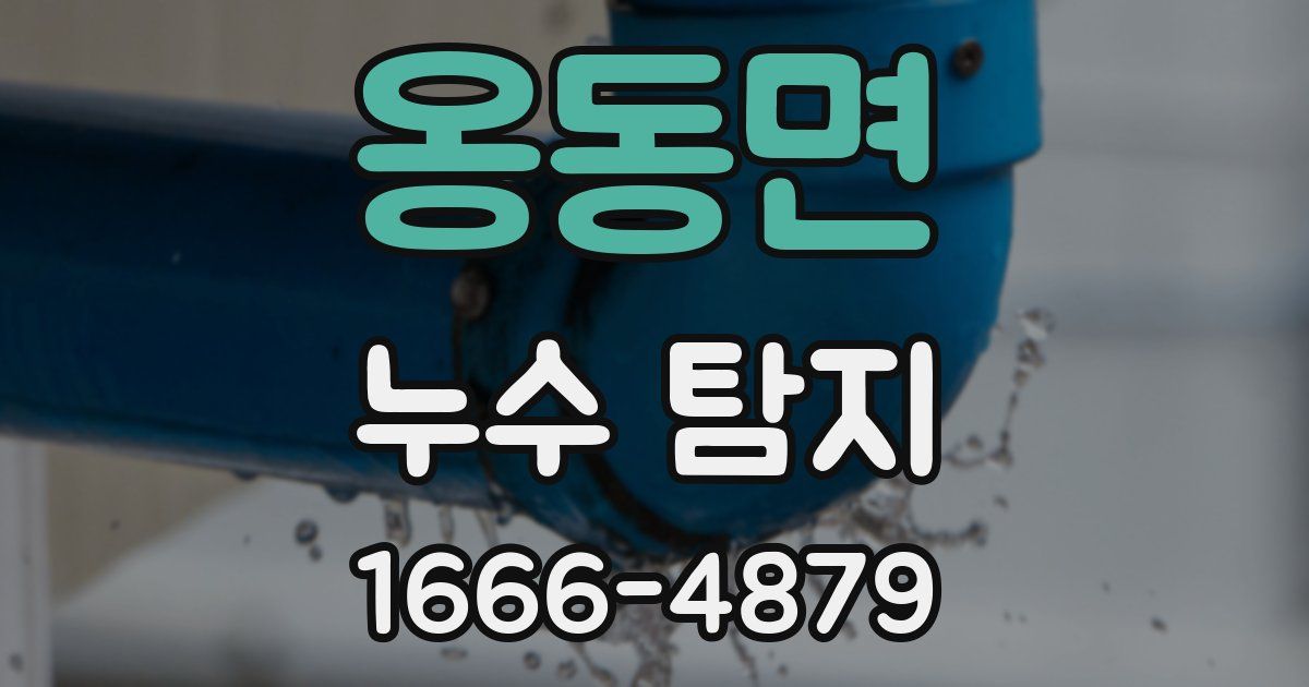 옹동면 누수 탐지