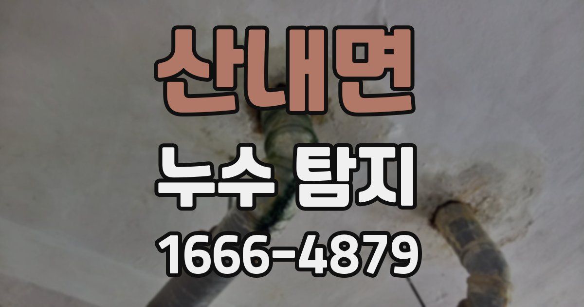 산내면 누수 탐지