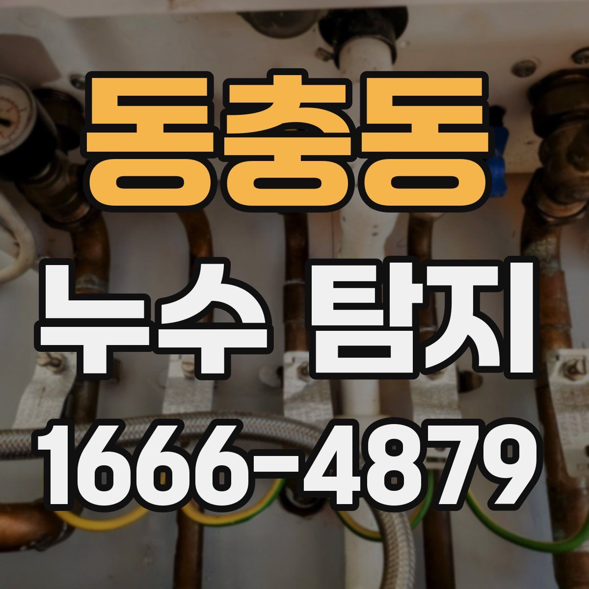 동충동 누수 탐지
