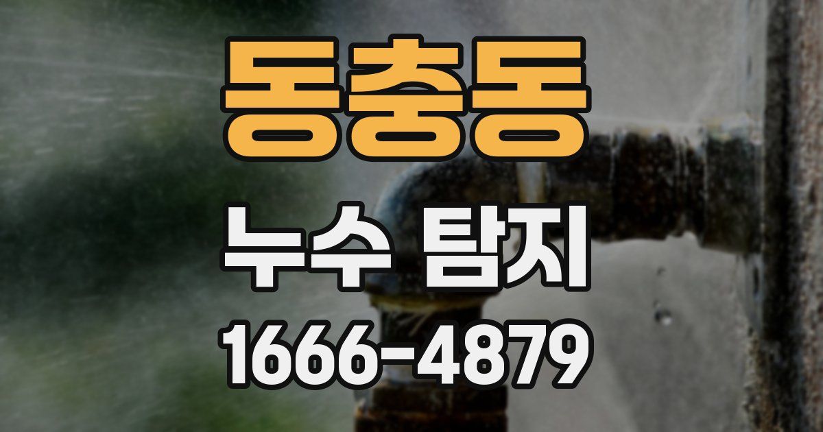 동충동 누수 탐지