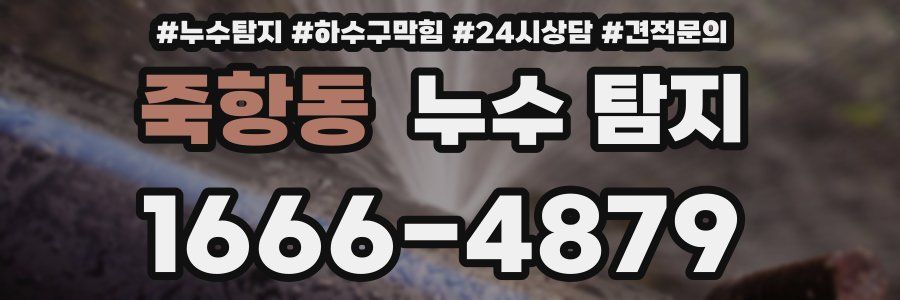 죽항동 누수 탐지