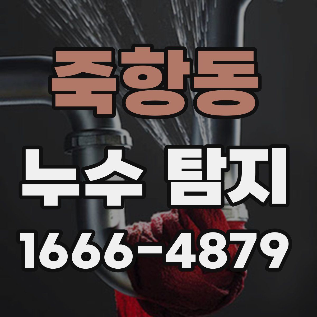 죽항동 누수 탐지