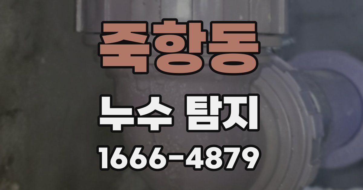 죽항동 누수 탐지