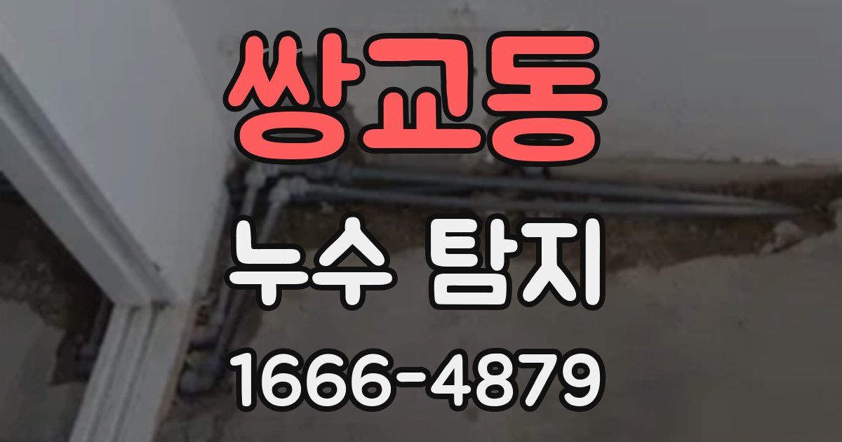 쌍교동 누수 탐지