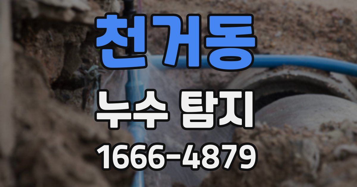 천거동 누수 탐지