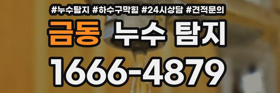 금동 누수 탐지