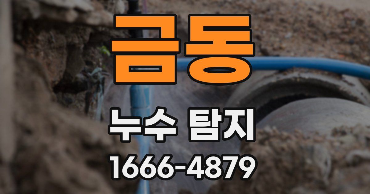 금동 누수 탐지