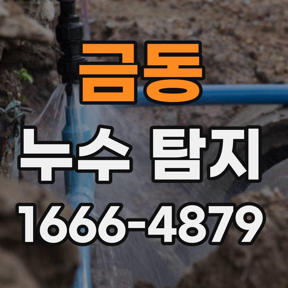 금동 누수 탐지