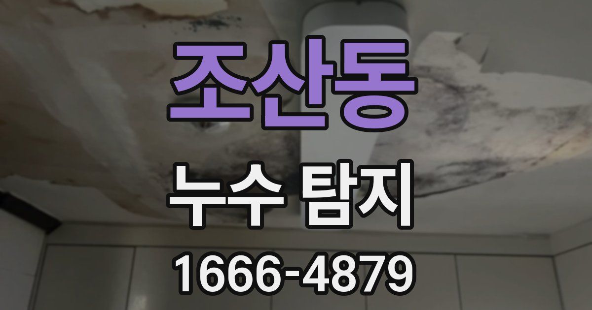 조산동 누수 탐지