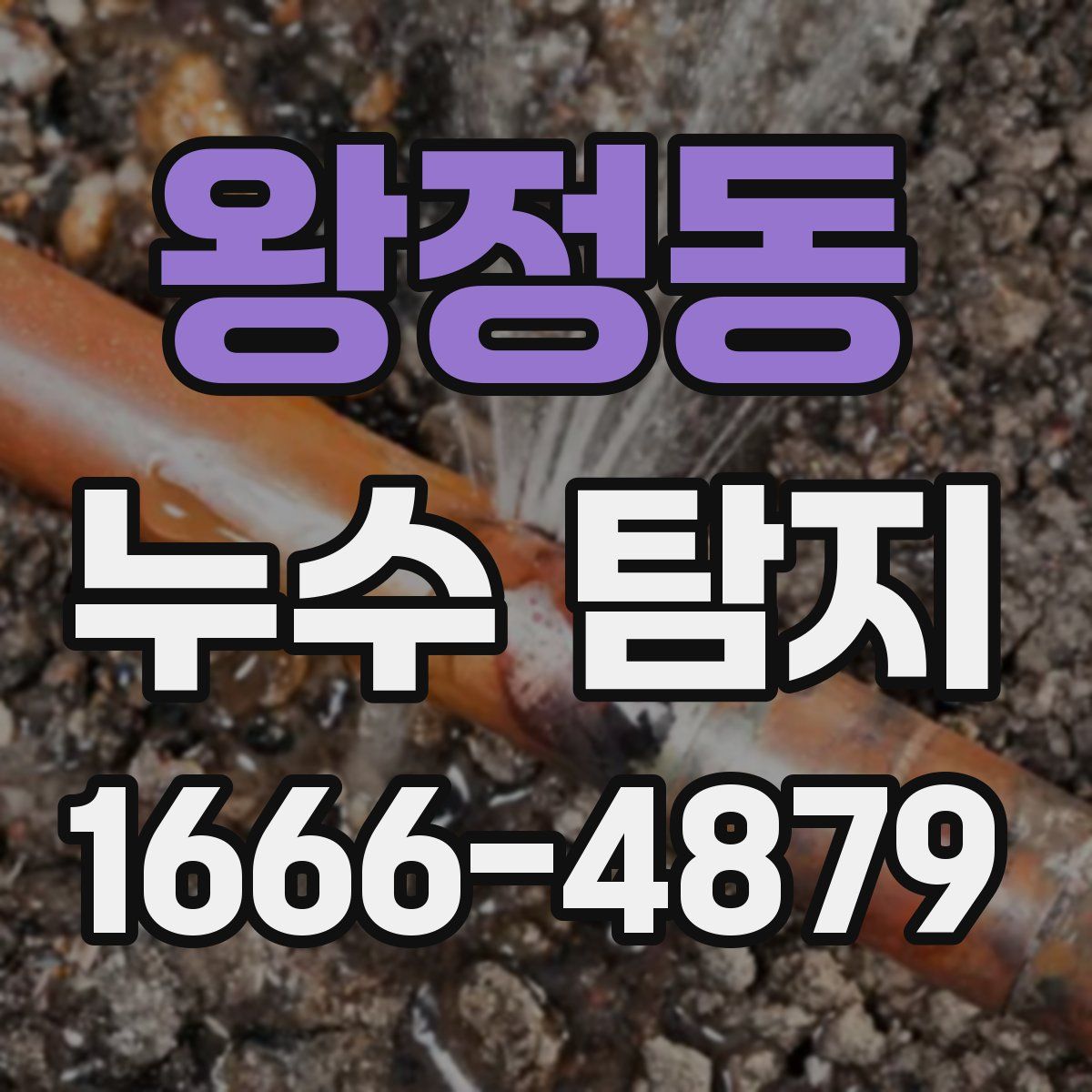 왕정동 누수 탐지
