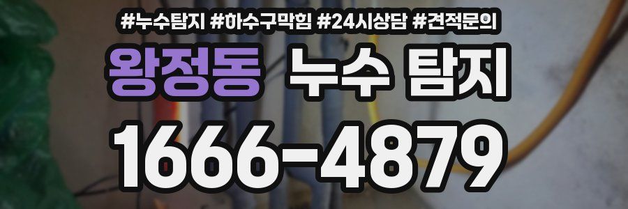 왕정동 누수 탐지