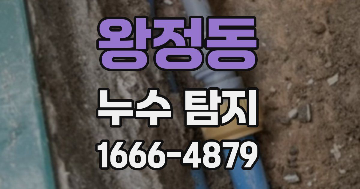 왕정동 누수 탐지