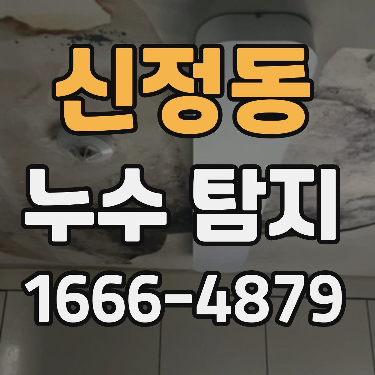 신정동 누수 탐지