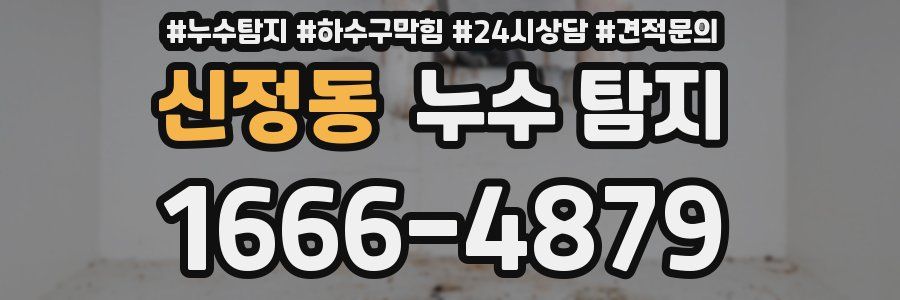 신정동 누수 탐지