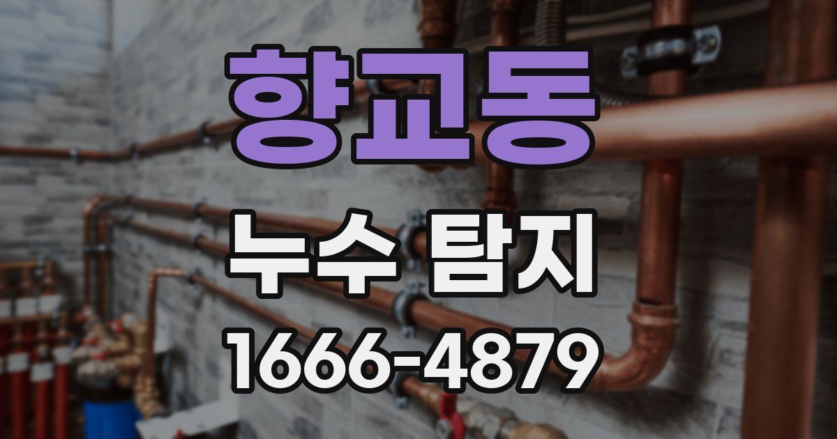 향교동 누수 탐지