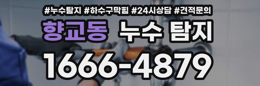 향교동 누수 탐지