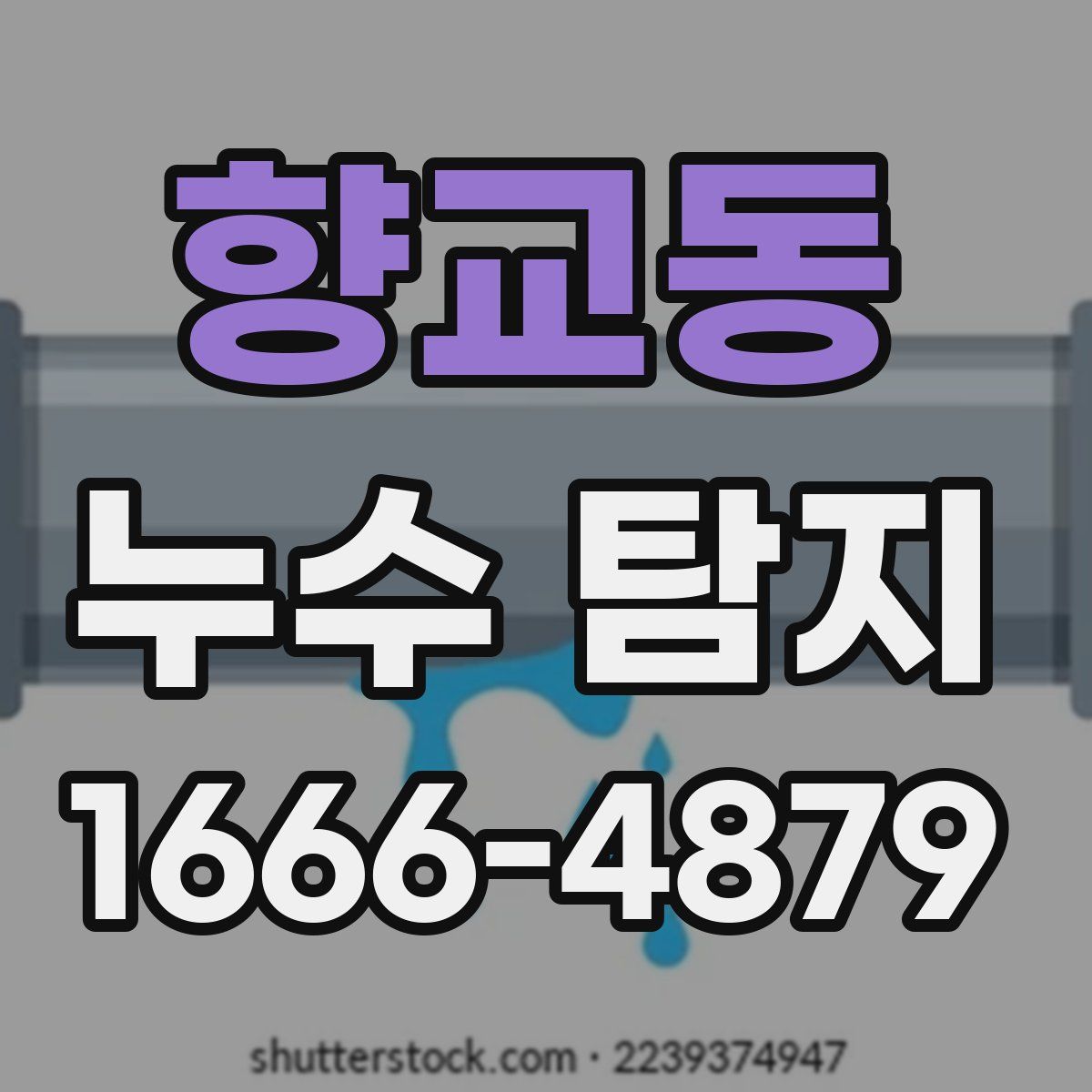 향교동 누수 탐지