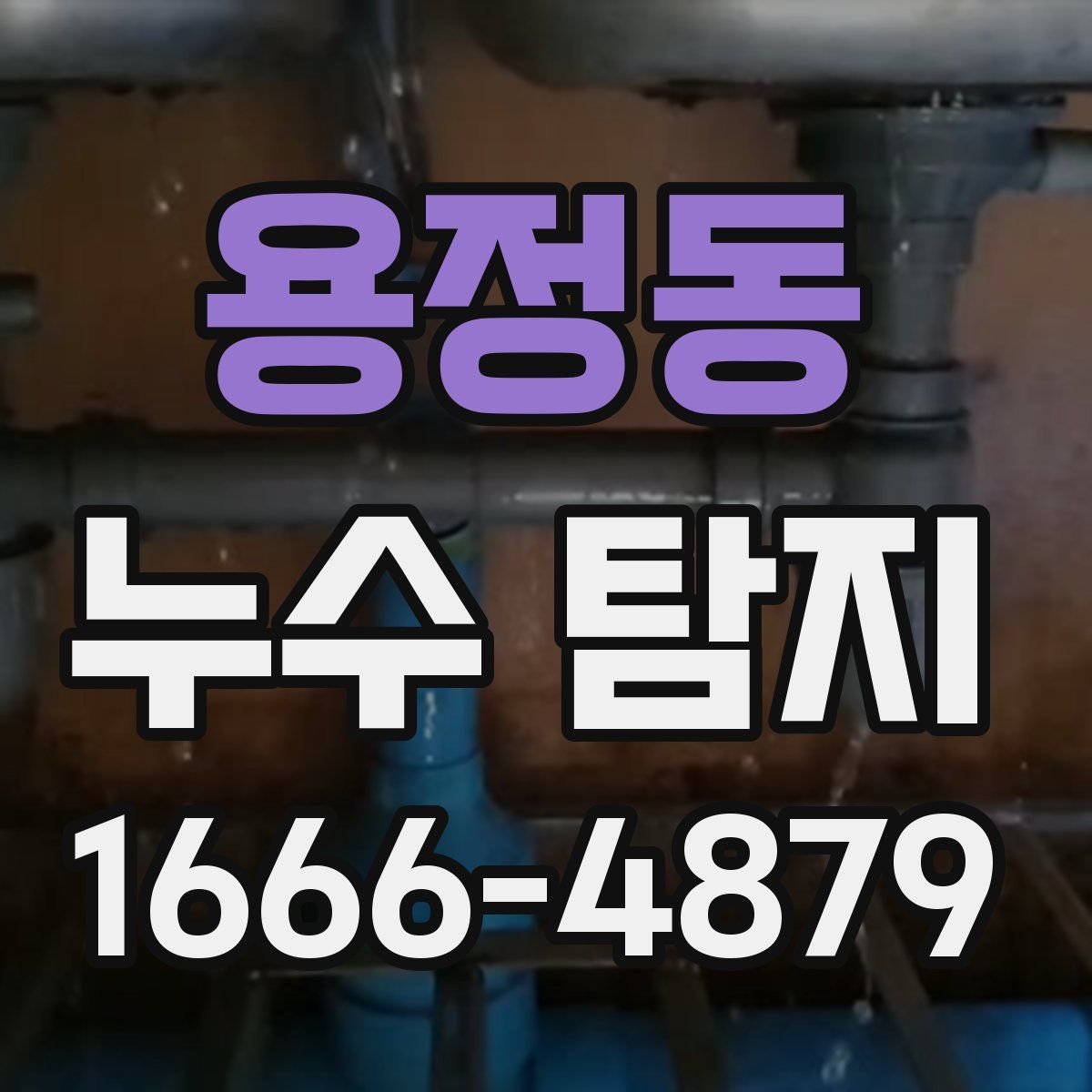 용정동 누수 탐지