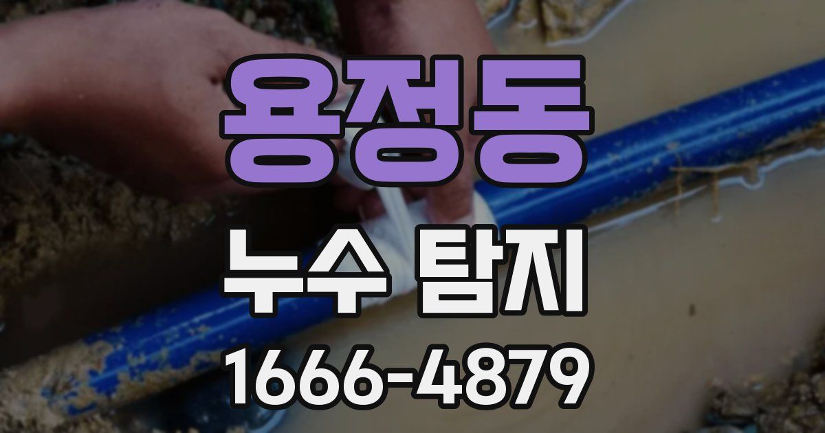 용정동 누수 탐지