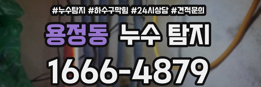용정동 누수 탐지