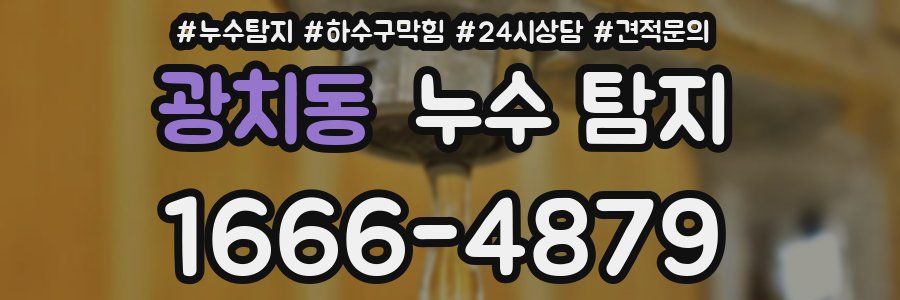 광치동 누수 탐지