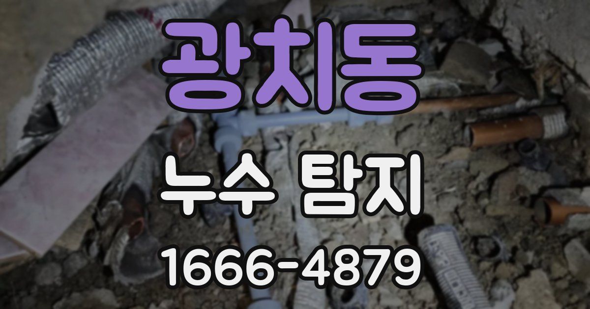 광치동 누수 탐지