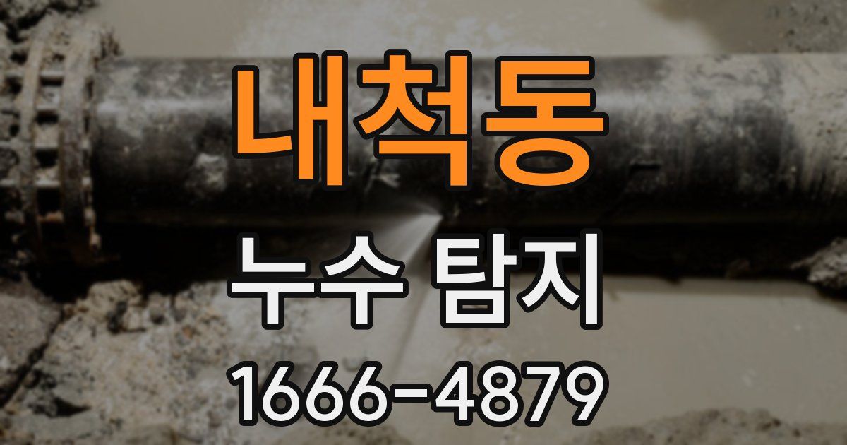 내척동 누수 탐지