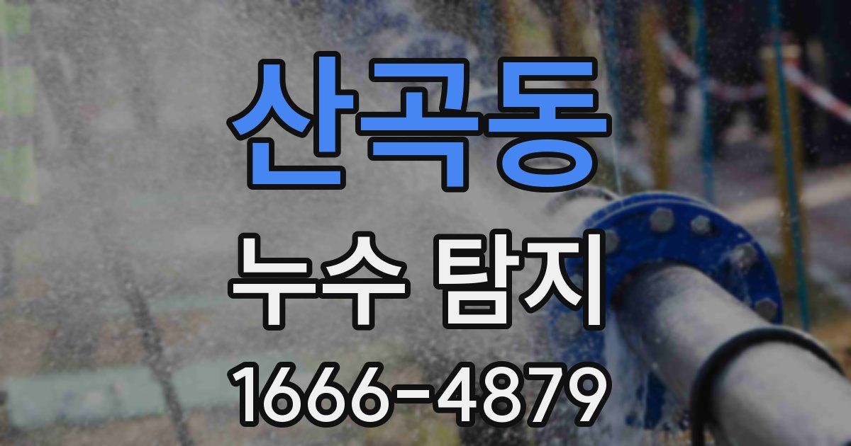 산곡동 누수 탐지