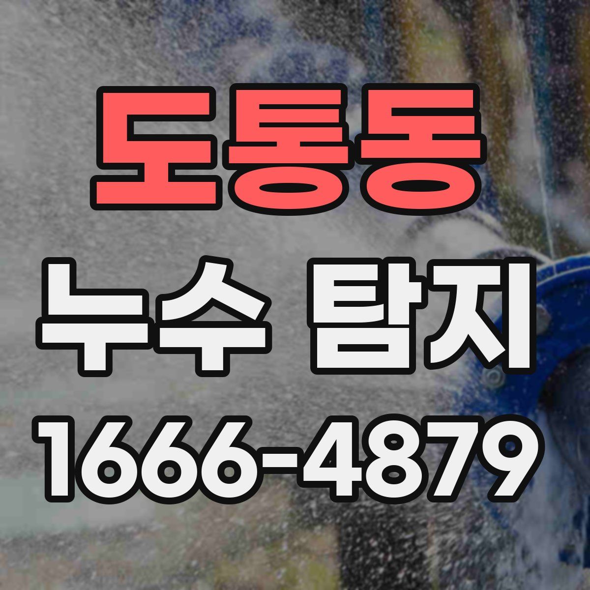 도통동 누수 탐지