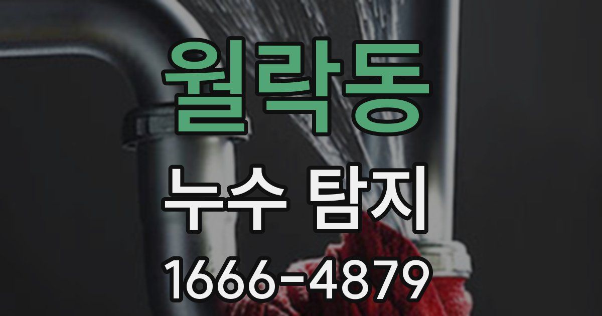 월락동 누수 탐지