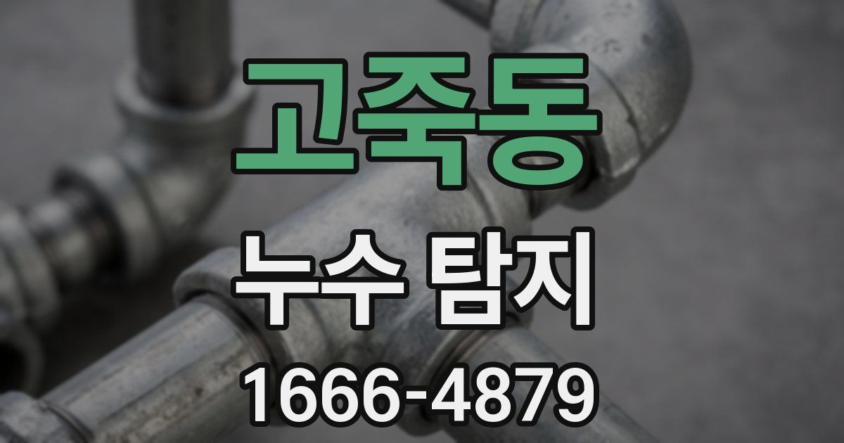고죽동 누수 탐지