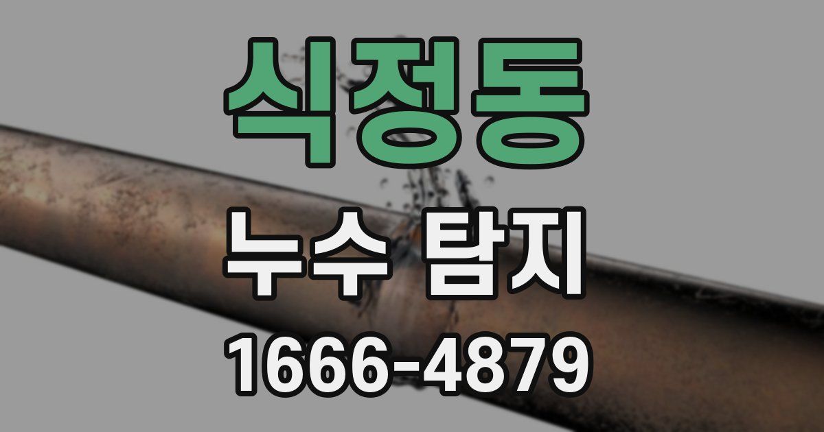 식정동 누수 탐지