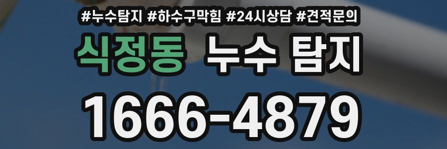 식정동 누수 탐지