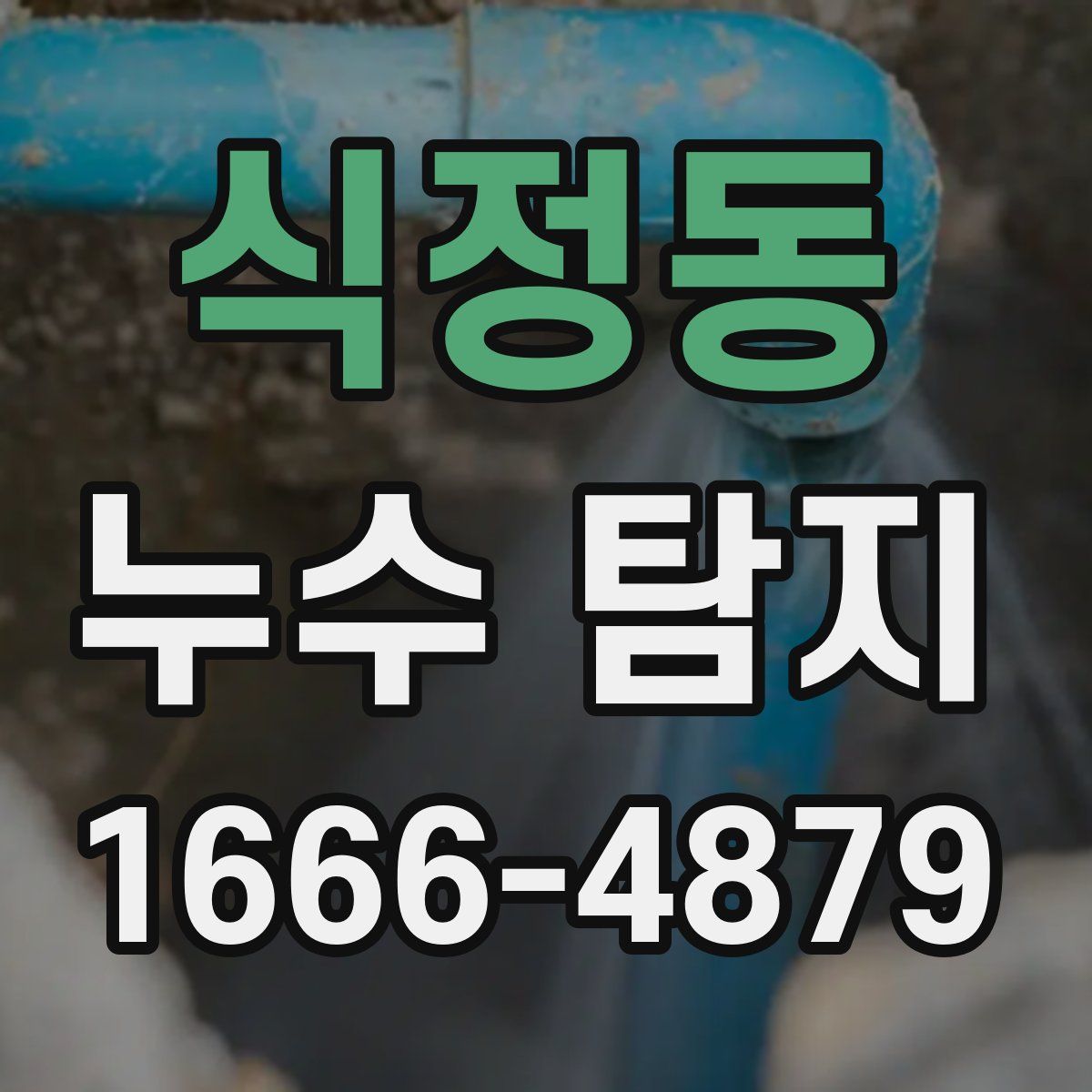 식정동 누수 탐지