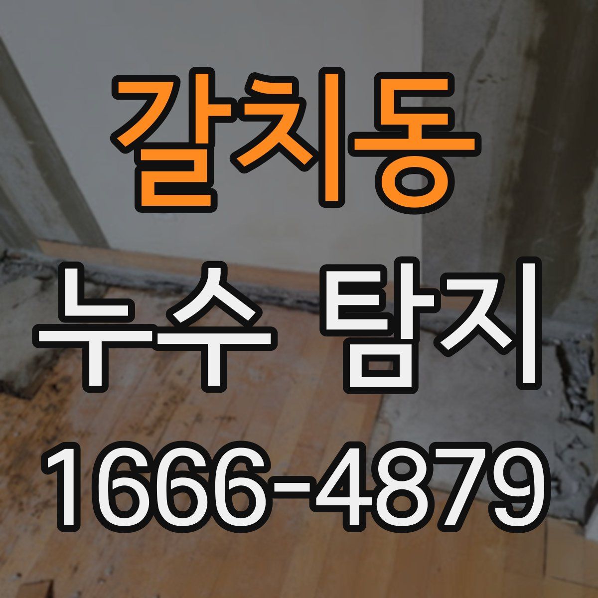 갈치동 누수 탐지