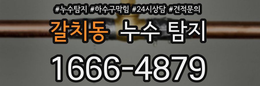 갈치동 누수 탐지