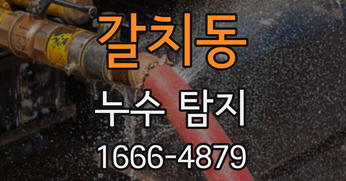 갈치동 누수 탐지