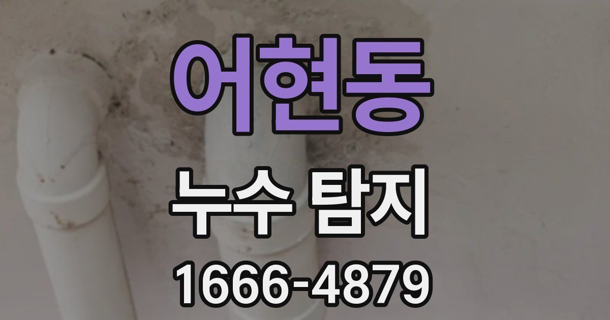 어현동 누수 탐지