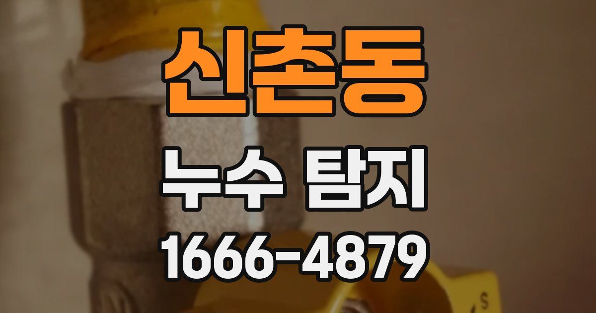 신촌동 누수 탐지