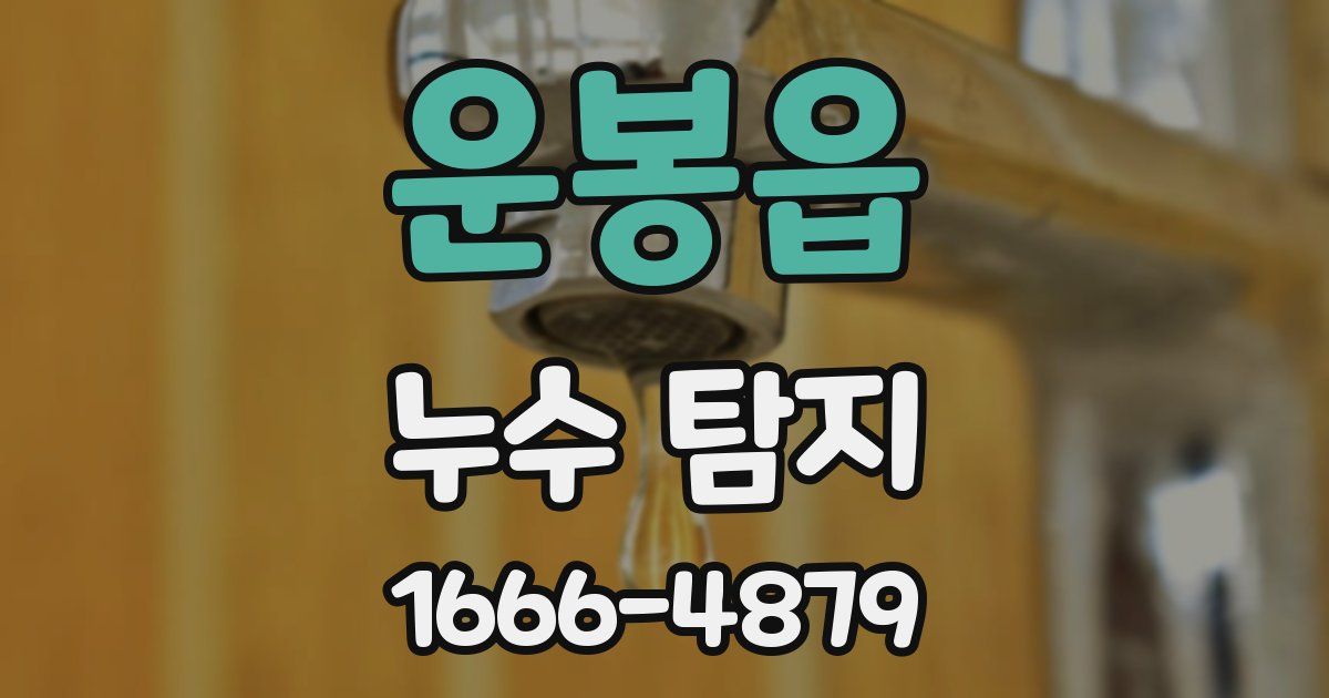 운봉읍 누수 탐지