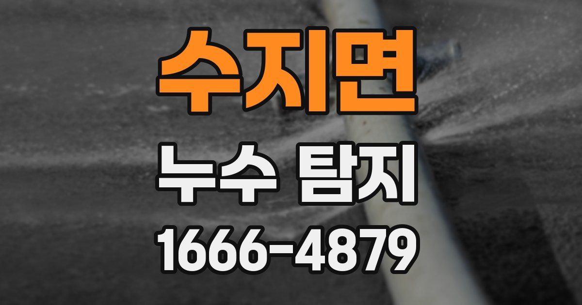 수지면 누수 탐지