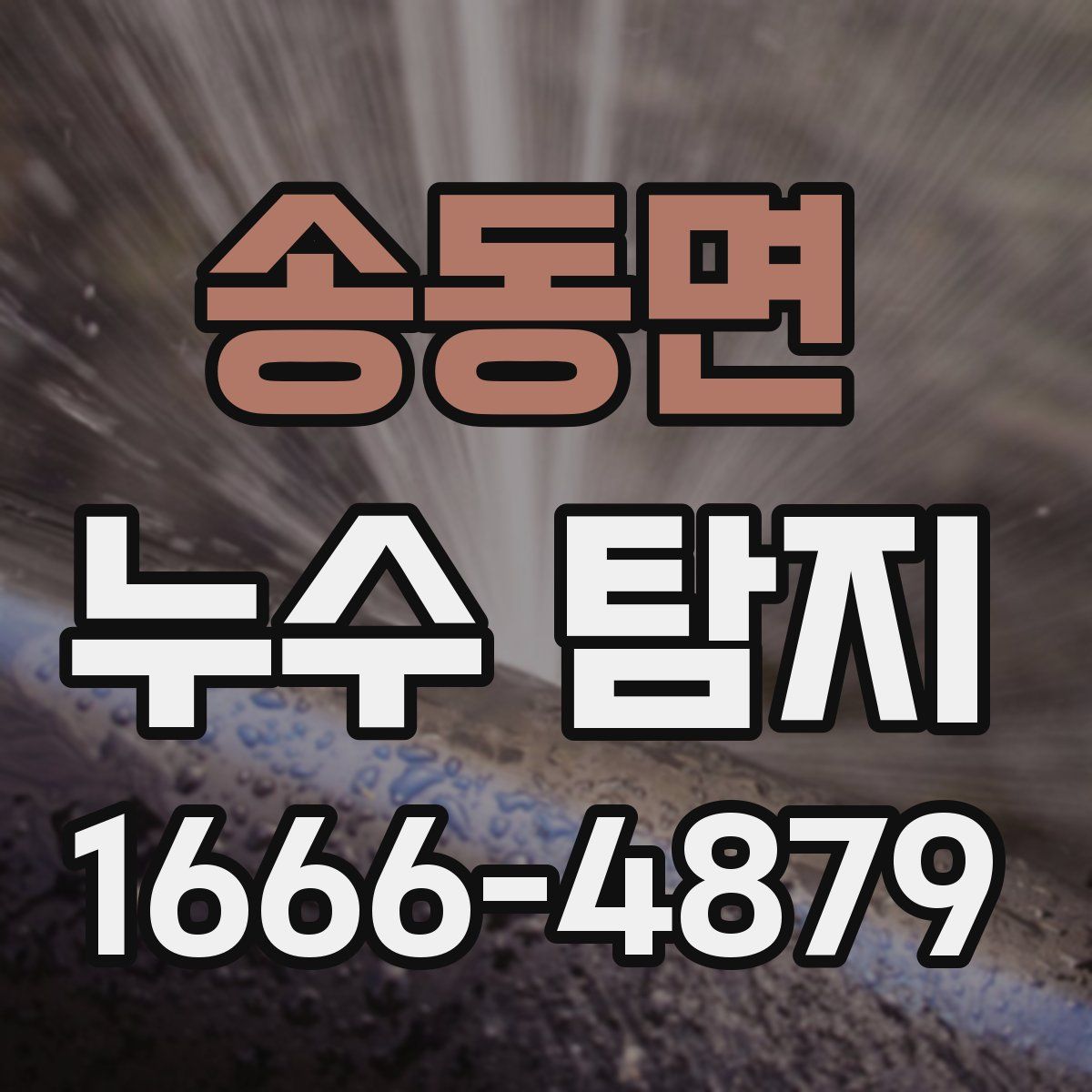 송동면 누수 탐지