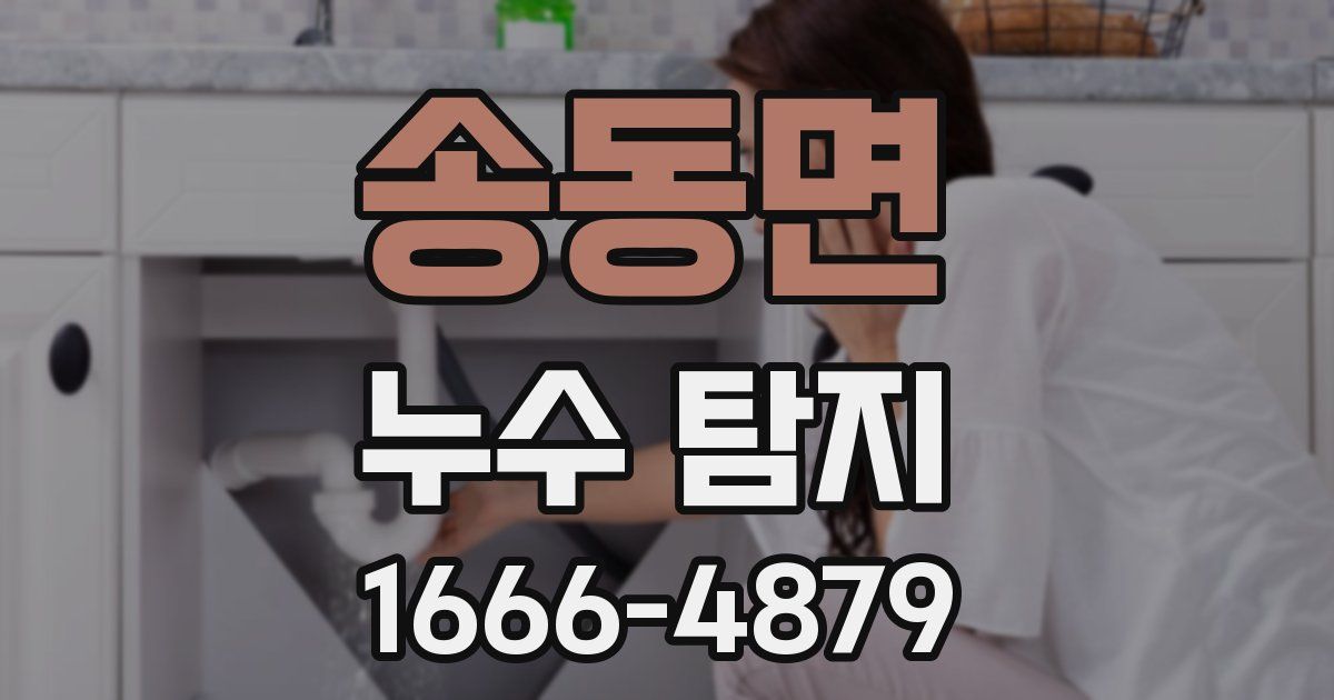 송동면 누수 탐지