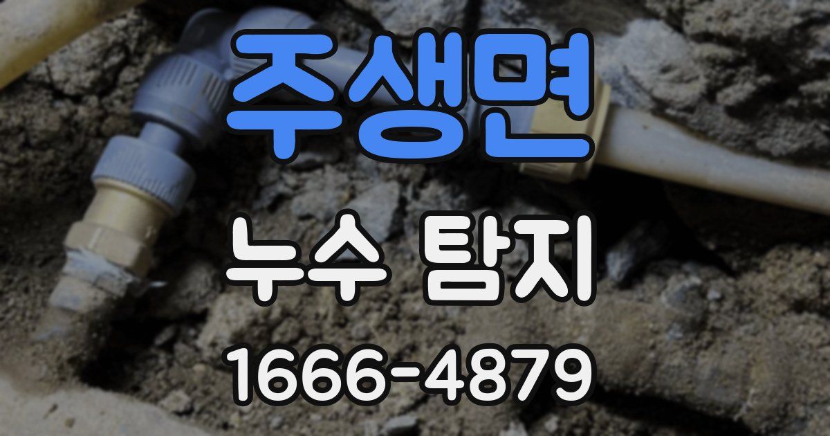 주생면 누수 탐지