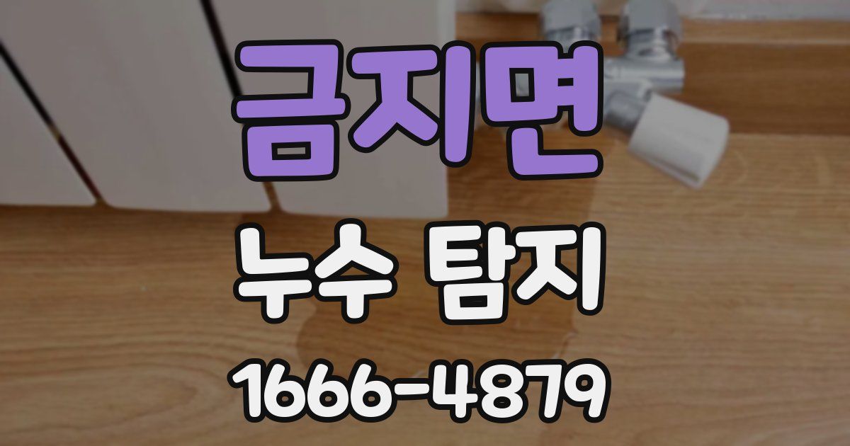 금지면 누수 탐지