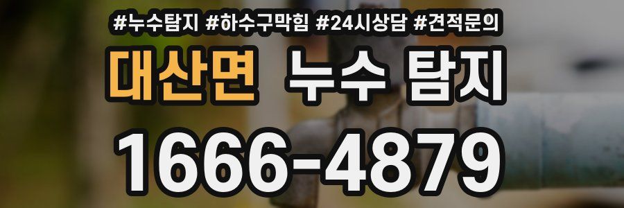 대산면 누수 탐지
