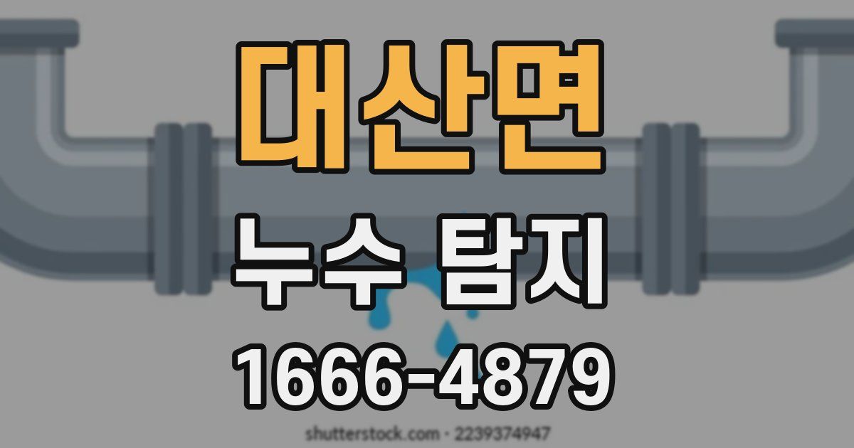 대산면 누수 탐지