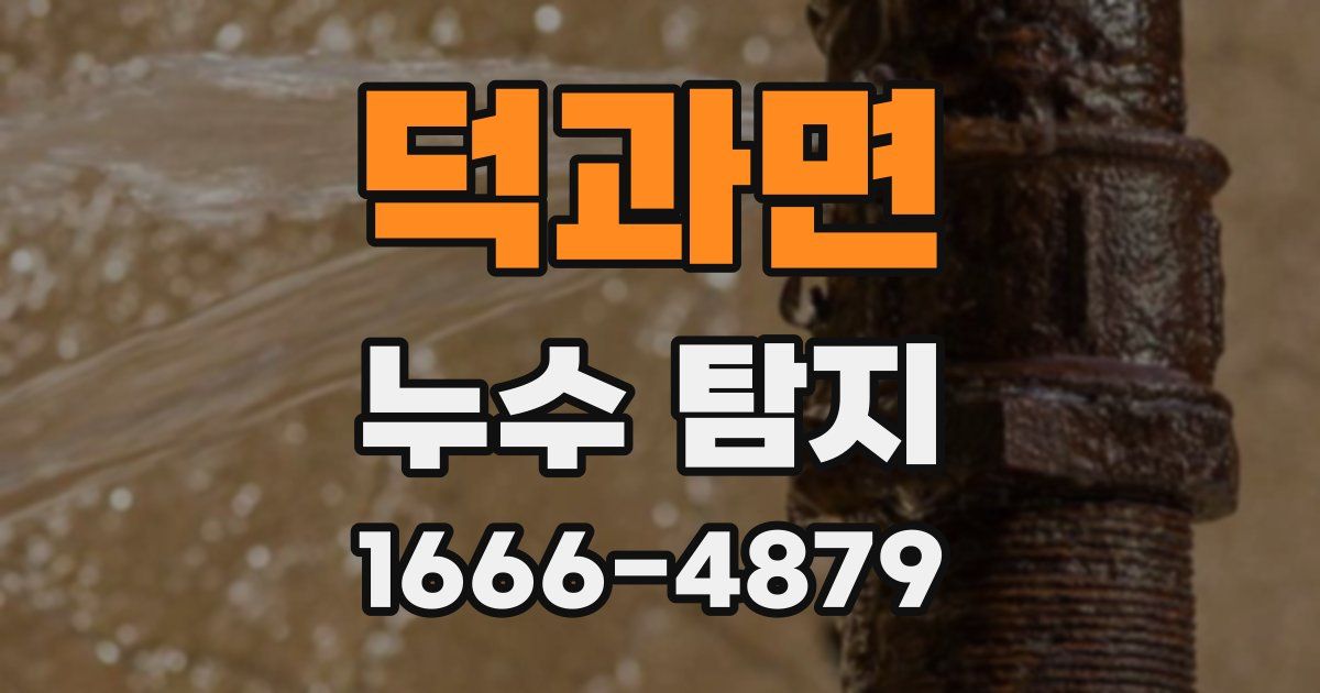 덕과면 누수 탐지